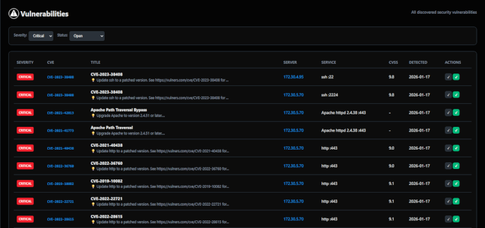 Vulnerabilities Screenshot